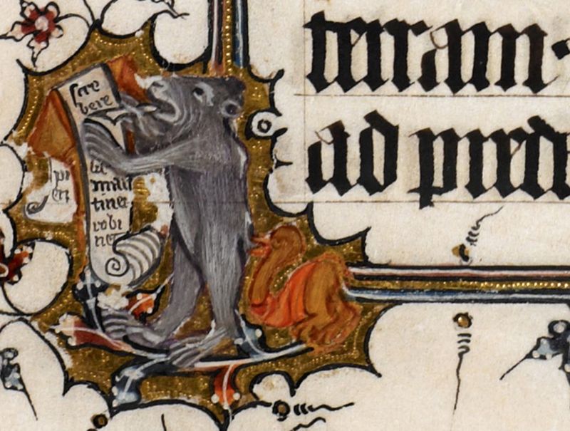 More Zero versus Oh and ellipses versus superellipses