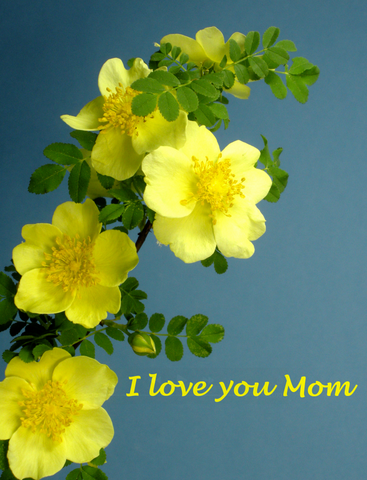 Bokay® I Love You Mom